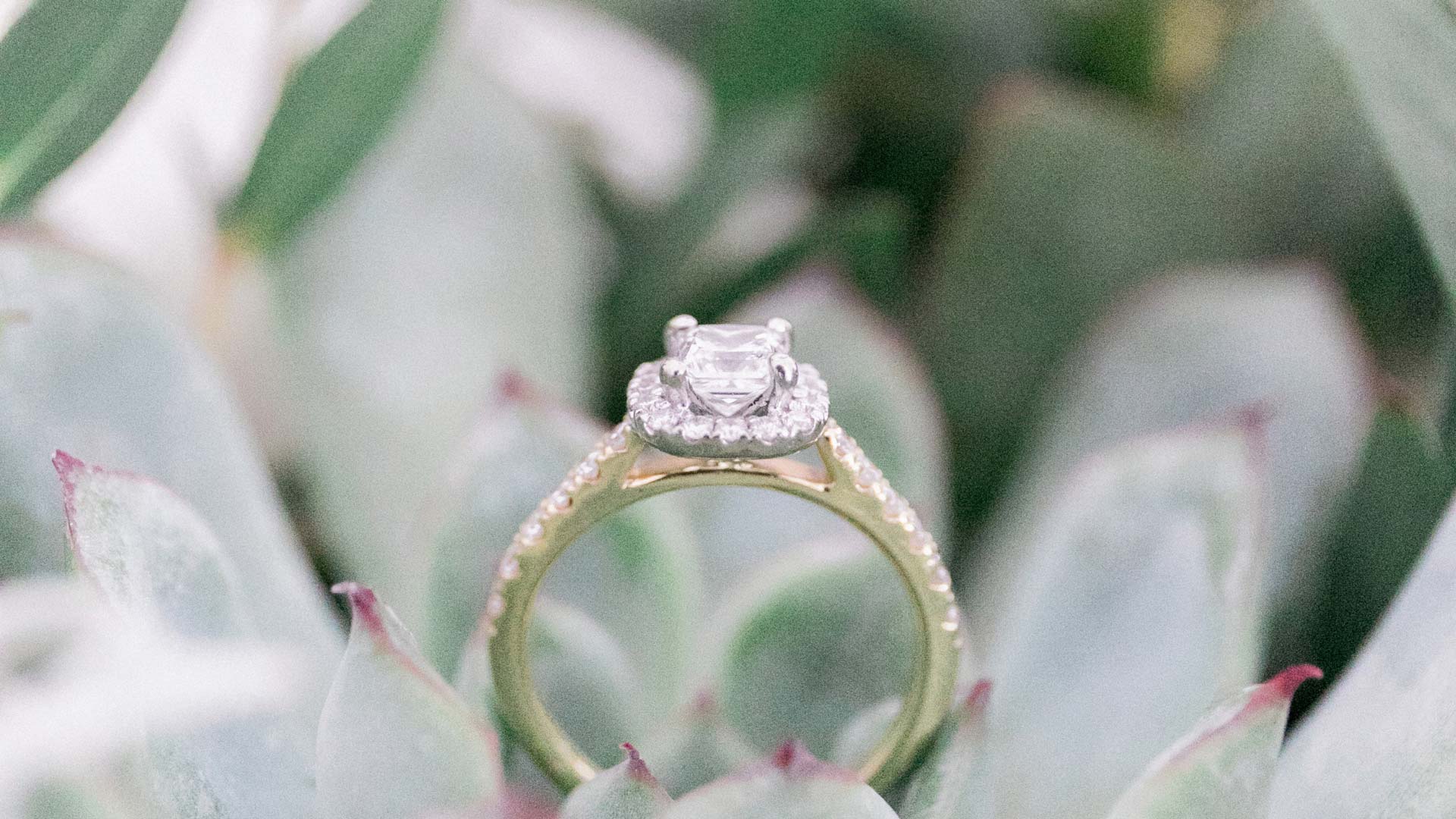 mykonos wedding engagement header