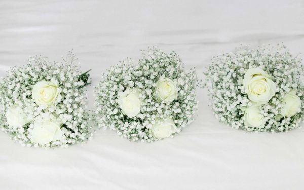 Wedding Scene Decoration